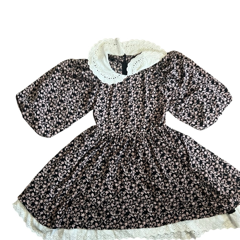In the Style Floral Dress with White Lace Collar size 2